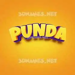 punda in Orange Toon style - 3D name wallpaper