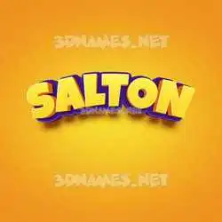 salton in Orange Toon style - 3D name wallpaper