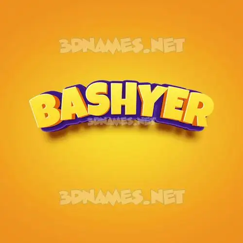 bashyer in Orange Toon style - 3D name wallpaper