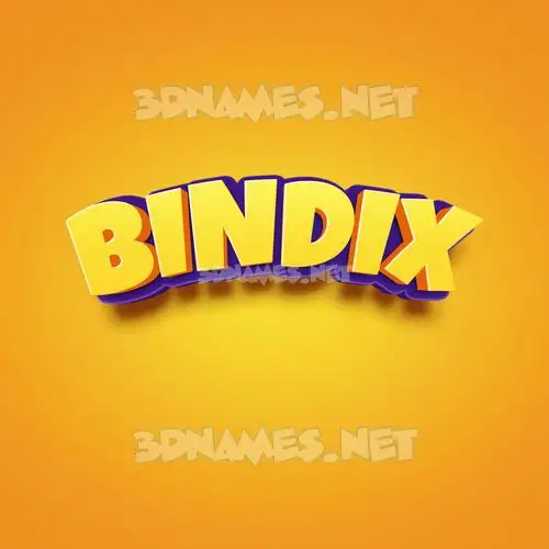 bindix in Orange Toon style - 3D name wallpaper bindix in Orange Toon style - 3D name wallpaper