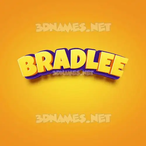 bradlee in Orange Toon style - 3D name wallpaper bradlee in Orange Toon style - 3D name wallpaper