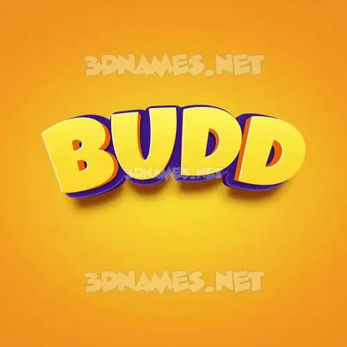 budd in Orange Toon style - 3D name wallpaper budd in Orange Toon style - 3D name wallpaper
