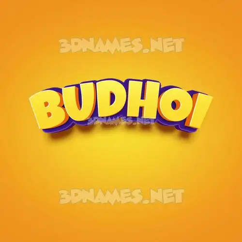 budhoi in Orange Toon style - 3D name wallpaper budhoi in Orange Toon style - 3D name wallpaper