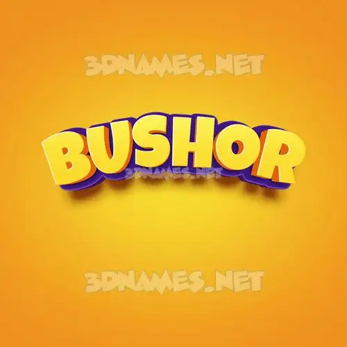 bushor in Orange Toon style - 3D name wallpaper