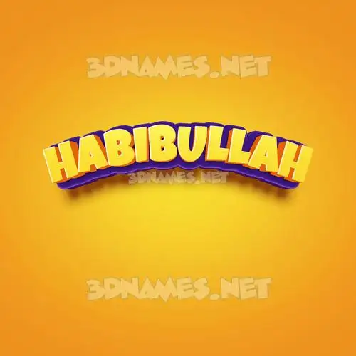 habibullah in Orange Toon style - 3D name wallpaper habibullah in Orange Toon style - 3D name wallpaper
