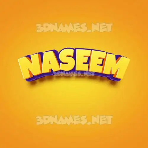 naseem in Orange Toon style - 3D name wallpaper naseem in Orange Toon style - 3D name wallpaper