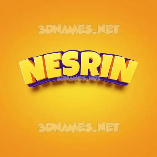 nesrin in Orange Toon style - 3D name wallpaper nesrin in Orange Toon style - 3D name wallpaper