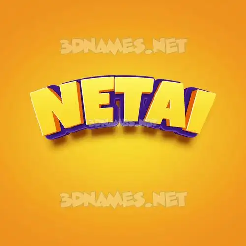 netai in Orange Toon style - 3D name wallpaper