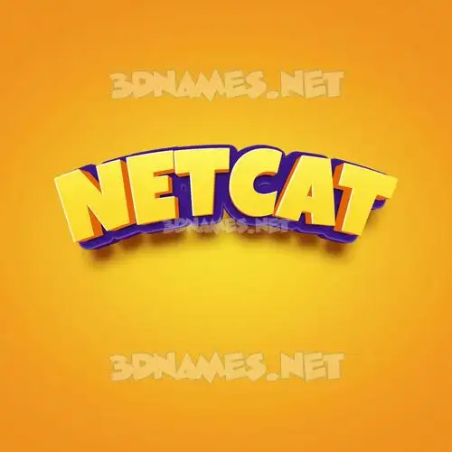 netcat in Orange Toon style - 3D name wallpaper