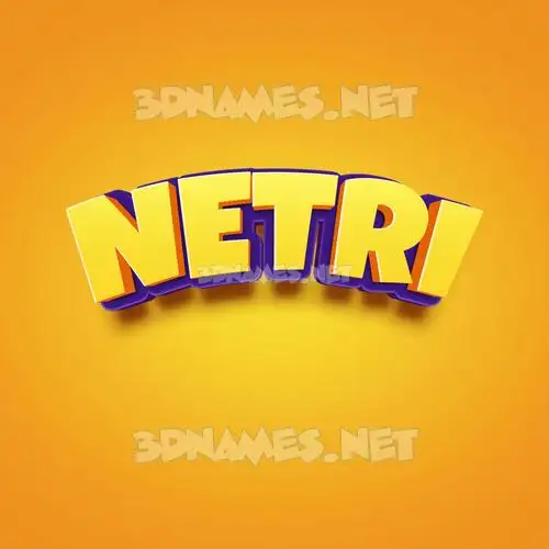 netri in Orange Toon style - 3D name wallpaper netri in Orange Toon style - 3D name wallpaper