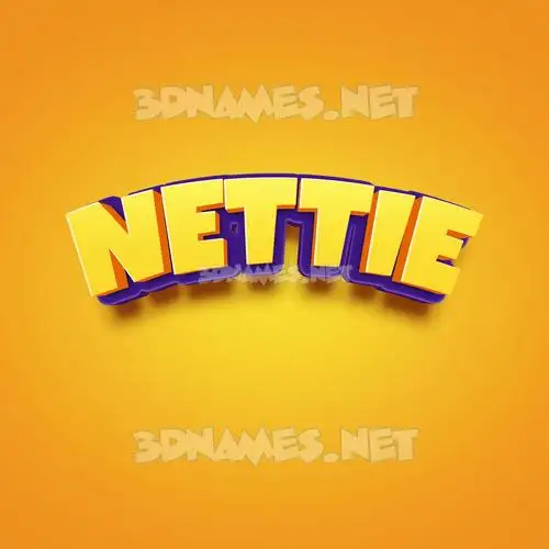 nettie in Orange Toon style - 3D name wallpaper nettie in Orange Toon style - 3D name wallpaper