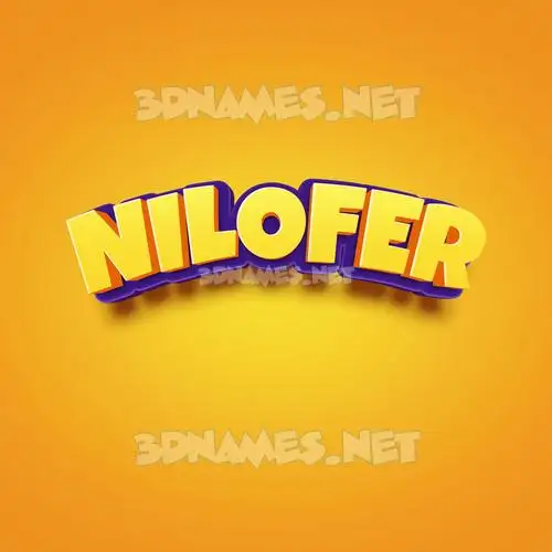 nilofer in Orange Toon style - 3D name wallpaper nilofer in Orange Toon style - 3D name wallpaper