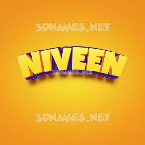 niveen in Orange Toon style - 3D name wallpaper niveen in Orange Toon style - 3D name wallpaper