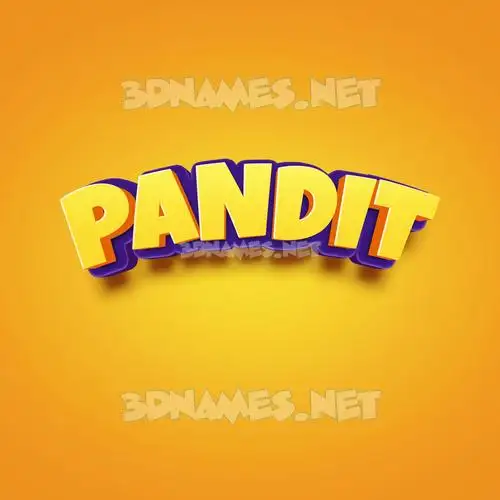 pandit in Orange Toon style - 3D name wallpaper pandit in Orange Toon style - 3D name wallpaper