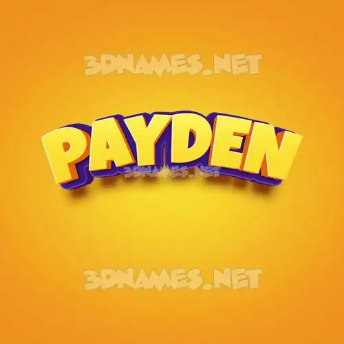 payden in Orange Toon style - 3D name wallpaper payden in Orange Toon style - 3D name wallpaper