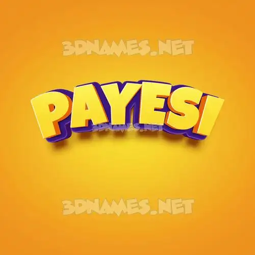 payesi in Orange Toon style - 3D name wallpaper payesi in Orange Toon style - 3D name wallpaper