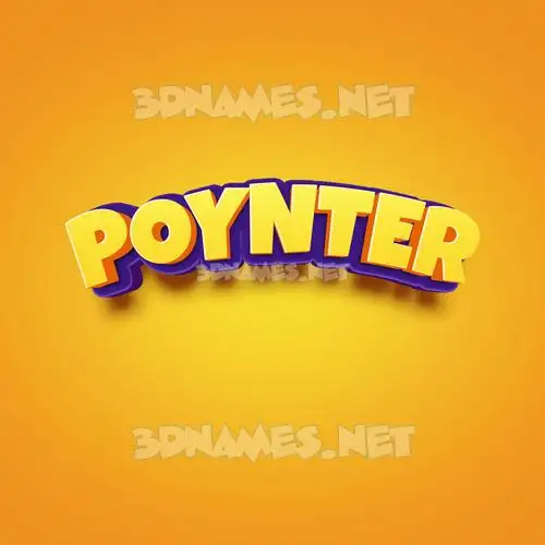 poynter in Orange Toon style - 3D name wallpaper poynter in Orange Toon style - 3D name wallpaper