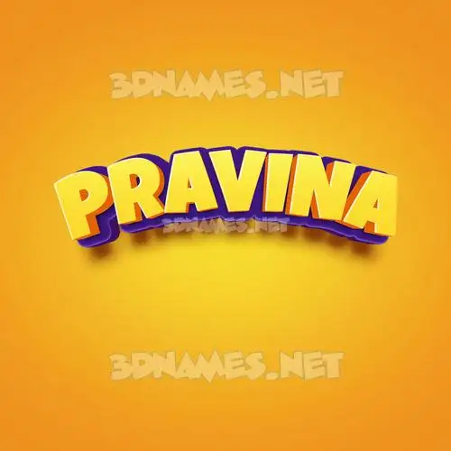pravina in Orange Toon style - 3D name wallpaper pravina in Orange Toon style - 3D name wallpaper