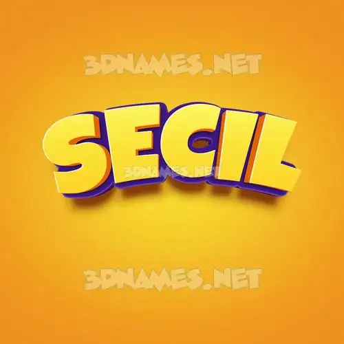 secil in Orange Toon style - 3D name wallpaper secil in Orange Toon style - 3D name wallpaper