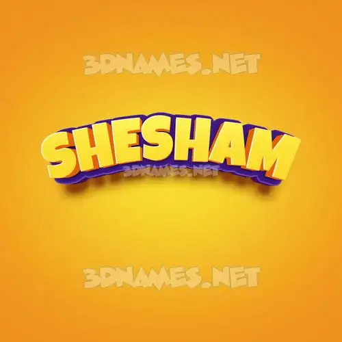 shesham in Orange Toon style - 3D name wallpaper