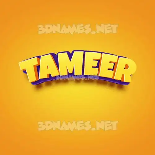 tameer in Orange Toon style - 3D name wallpaper tameer in Orange Toon style - 3D name wallpaper