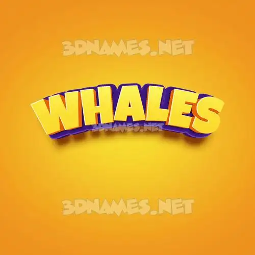 whales in Orange Toon style - 3D name wallpaper whales in Orange Toon style - 3D name wallpaper