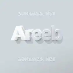 areeb in Clean White style - 3D name wallpaper