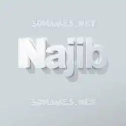 najib in Clean White style - 3D name wallpaper