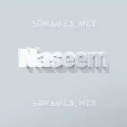 naseem in Clean White style - 3D name wallpaper