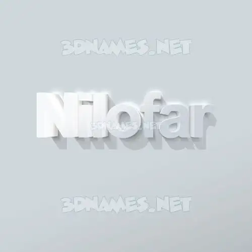 nilofar in Clean White style - 3D name wallpaper nilofar in Clean White style - 3D name wallpaper