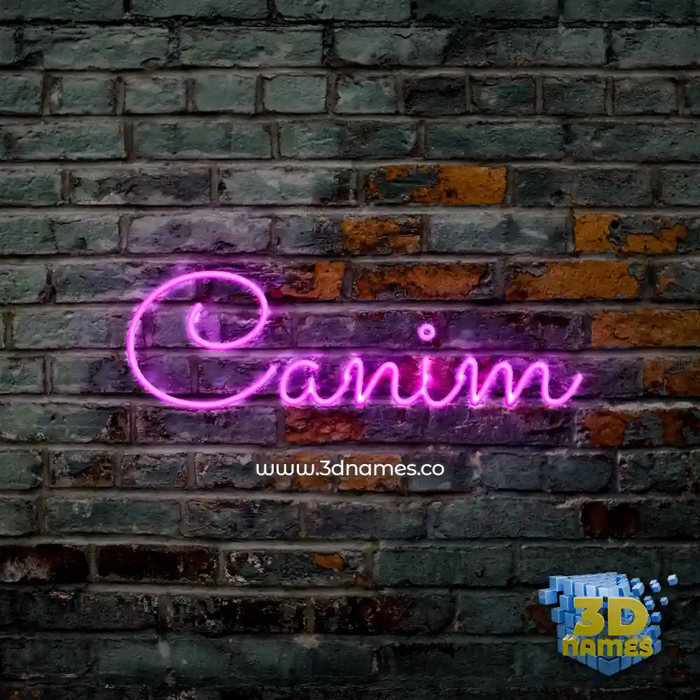 canim in Pink Neon style - 3D name wallpaper