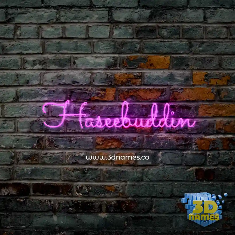 haseebuddin in Pink Neon style - 3D name wallpaper haseebuddin in Pink Neon style - 3D name wallpaper
