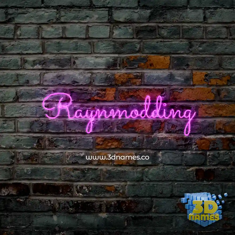 raynmodding in Pink Neon style - 3D name wallpaper