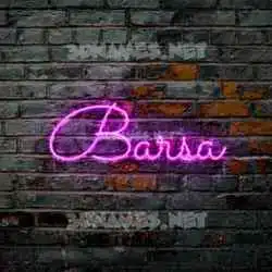 barsa in Pink Neon style - 3D name wallpaper