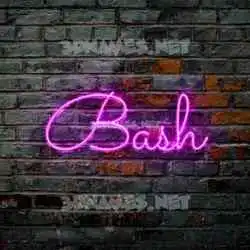 bash in Pink Neon style - 3D name wallpaper