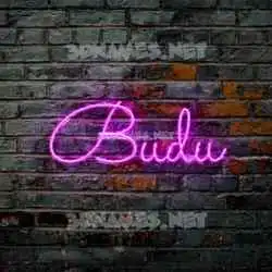 budu in Pink Neon style - 3D name wallpaper