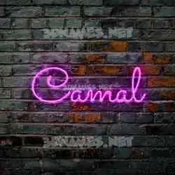 camal in Pink Neon style - 3D name wallpaper