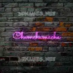chamchamacha in Pink Neon style - 3D name wallpaper