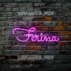 ferina in Pink Neon style - 3D name wallpaper