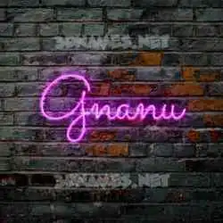 gnanu in Pink Neon style - 3D name wallpaper