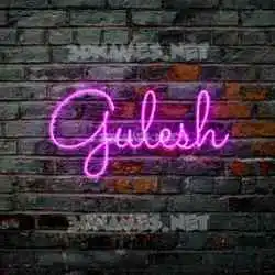 gulesh in Pink Neon style - 3D name wallpaper