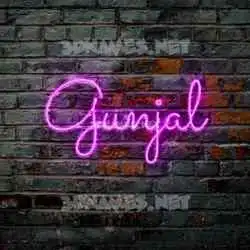 gunjal in Pink Neon style - 3D name wallpaper