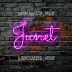 junet in Pink Neon style - 3D name wallpaper