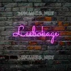 leebokage in Pink Neon style - 3D name wallpaper