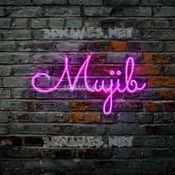 mujib in Pink Neon style - 3D name wallpaper