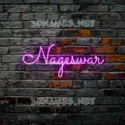 nageswar in Pink Neon style - 3D name wallpaper