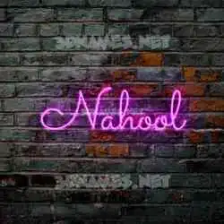 nahool in Pink Neon style - 3D name wallpaper