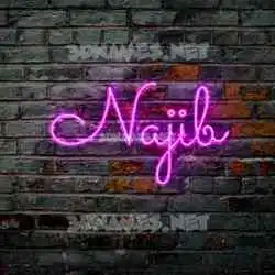 najib in Pink Neon style - 3D name wallpaper