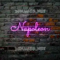 napoleon in Pink Neon style - 3D name wallpaper