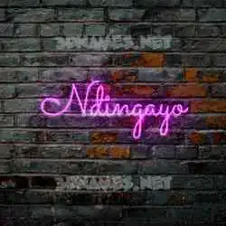 ndingayo in Pink Neon style - 3D name wallpaper